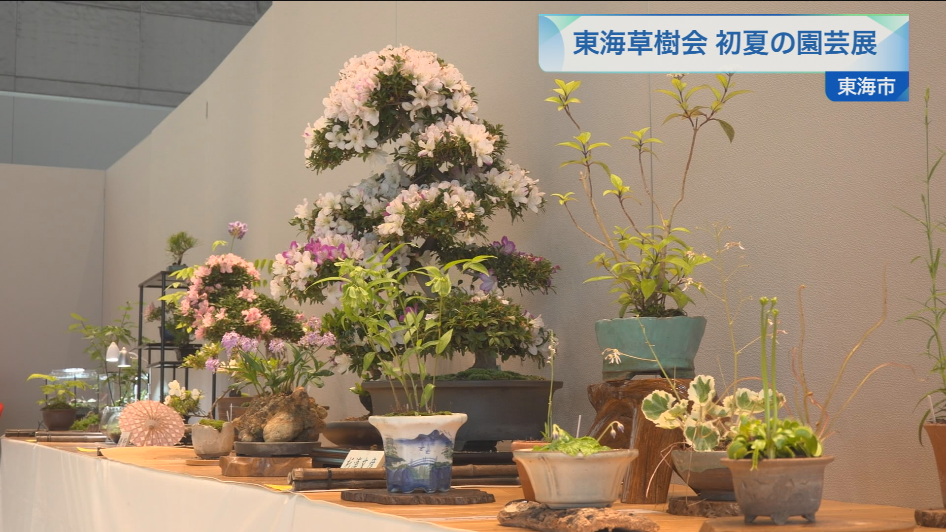 古道具　花台　盆栽代 古木花台 珪化木 花台 根瘤 古玩 古材 盆栽台 飾り台 Antique Sam's